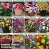 Garden Ready Bumper Collection