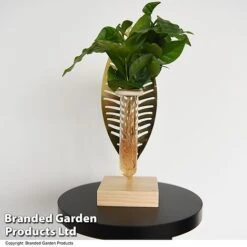 Hydroponic Collection On Display Stand -Edible Flowers Sales Store HYDR COLLDISPL T49401