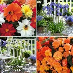 Summer Plant & Seed Collection 13 Summer Plant & Seed Collection -Edible Flowers Sales Store MSE feb31