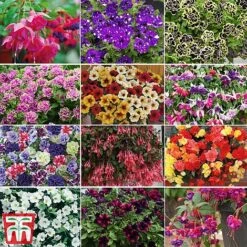 Nurseryman's Choice Container Mix