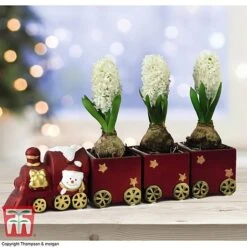 Train Set - Gift -Edible Flowers Sales Store TRAI WGKB7083 A