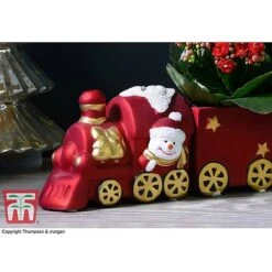 Train Set - Gift -Edible Flowers Sales Store TRAI WGKB7083 C