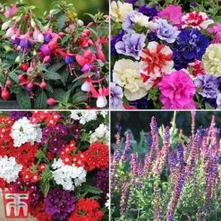 Nurseryman's Choice Container Mix -Edible Flowers Sales Store sumbed2